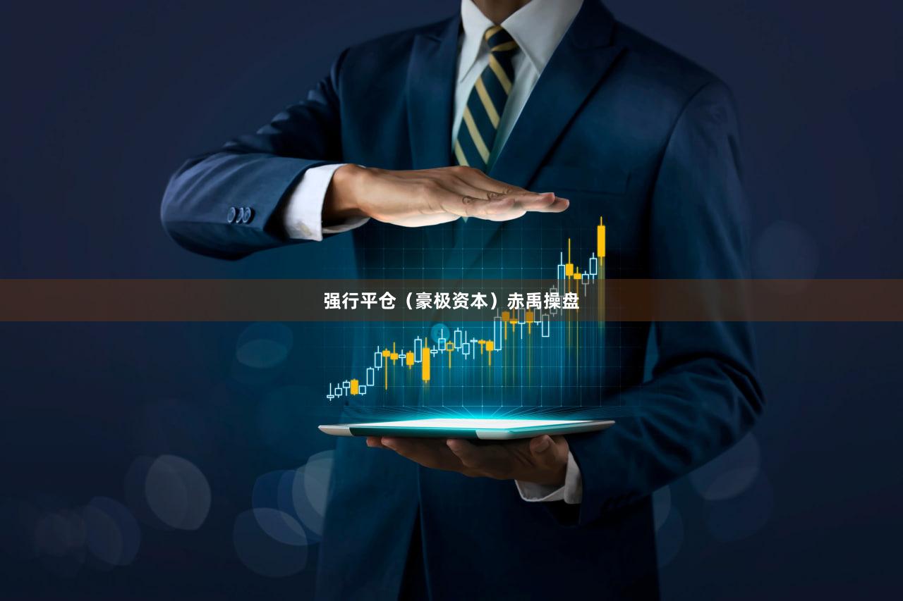 强行平仓（豪极资本）赤禹操盘