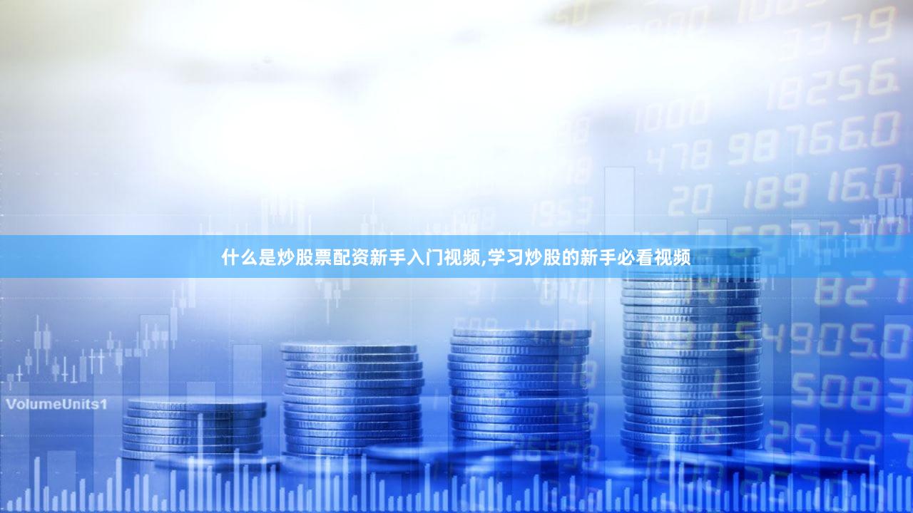 什么是炒股票配资新手入门视频,学习炒股的新手必看视频