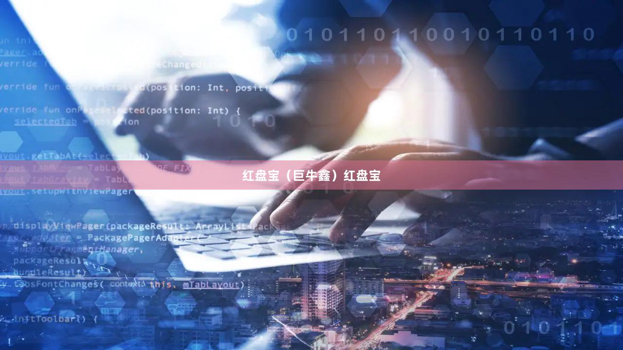 红盘宝（巨牛鑫）红盘宝