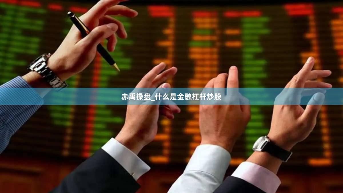 赤禹操盘_什么是金融杠杆炒股