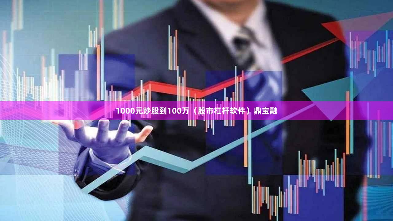 1000元炒股到100万（股市杠杆软件）鼎宝融