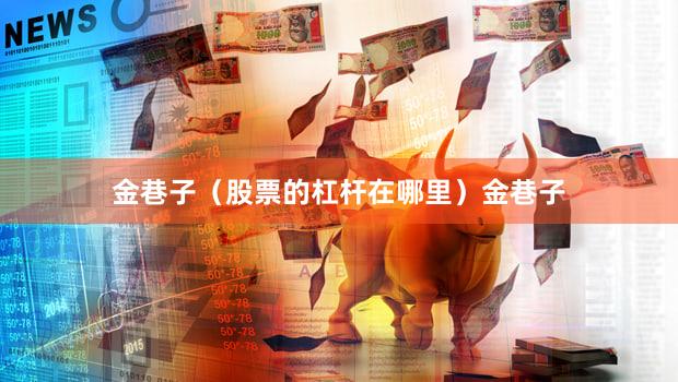 金巷子（股票的杠杆在哪里）金巷子