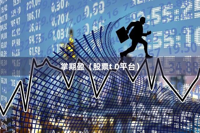 掌期盈（股票t 0平台）