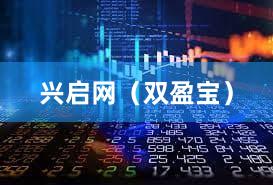 兴启网（双盈宝）