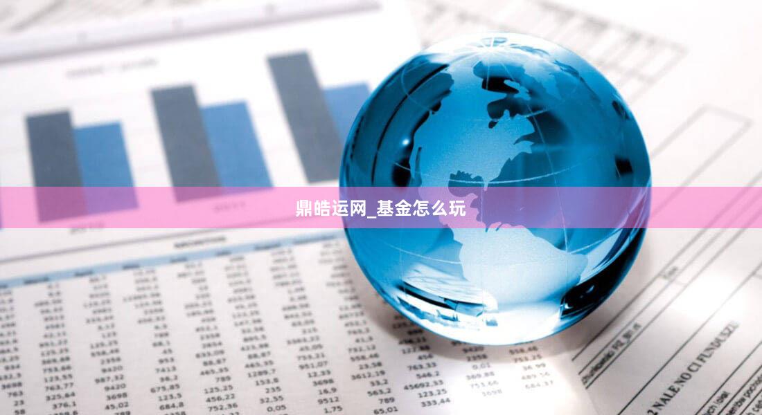 鼎皓运网_基金怎么玩