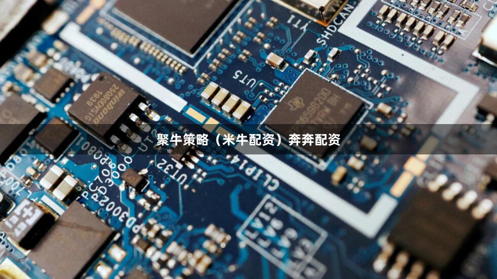 聚牛策略(米牛配资)奔奔配资