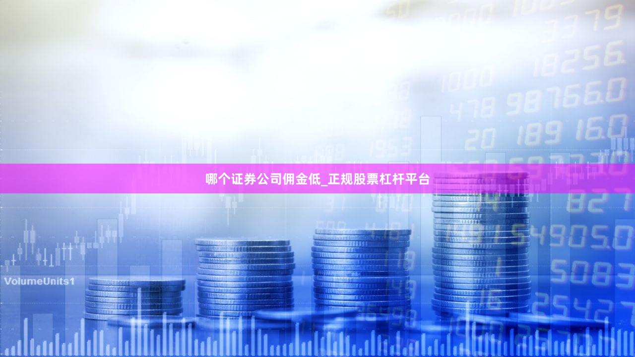 哪个证券公司佣金低_正规股票杠杆平台