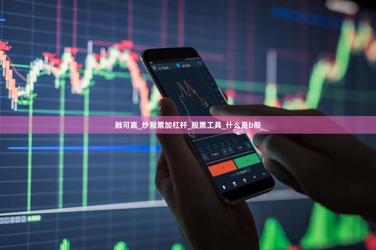 融可赢_炒股票加杠杆_股票工具_什么是b股