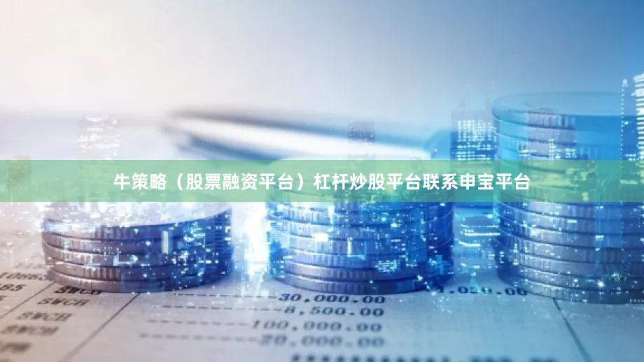 牛策略（股票融资平台）杠杆炒股平台联系申宝平台