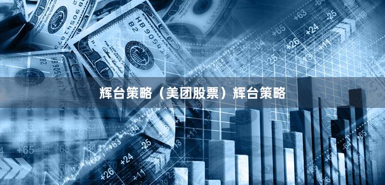 辉台策略（美团股票）辉台策略