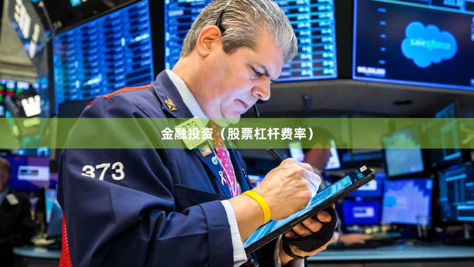 金融投资（股票杠杆费率）