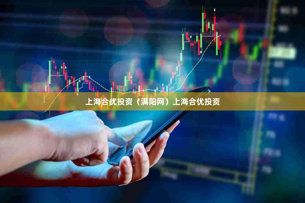 上海合优投资（满阳网）上海合优投资