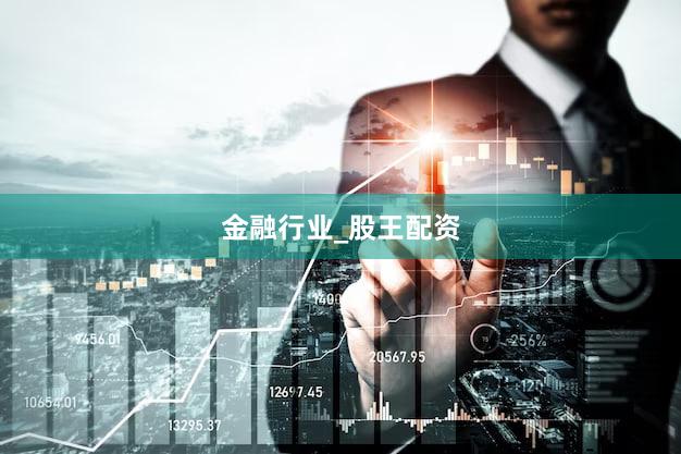 金融行业_股王配资