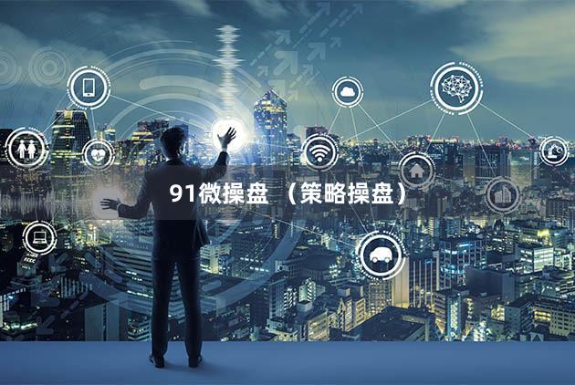 91微操盘 （策略操盘）