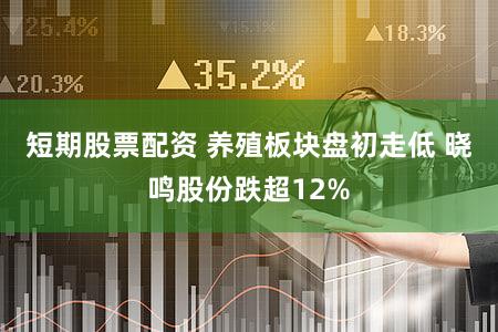 短期股票配资 养殖板块盘初走低 晓鸣股份跌超12%