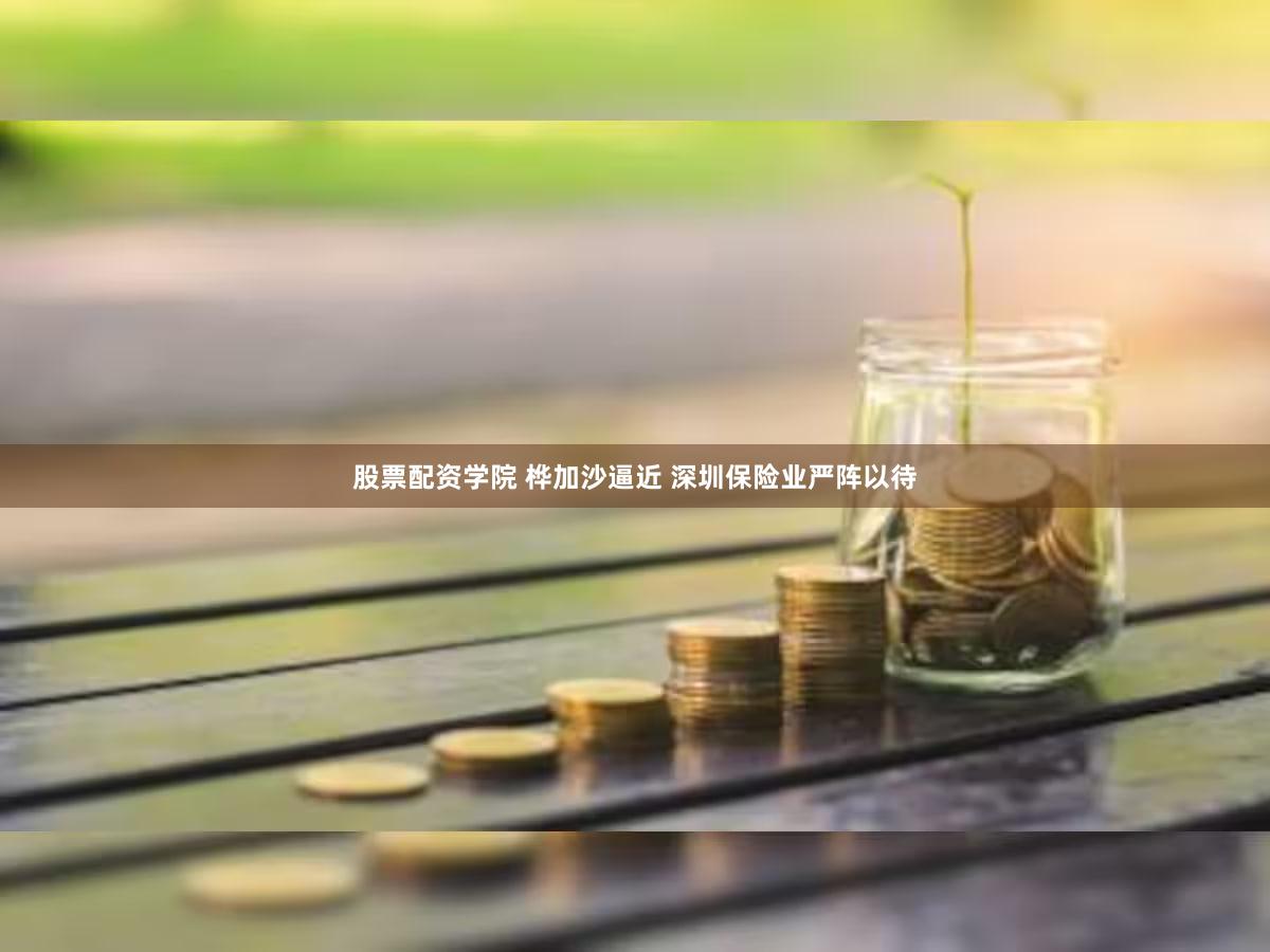 股票配资学院 桦加沙逼近 深圳保险业严阵以待