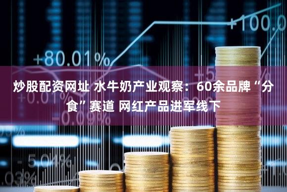炒股配资网址 水牛奶产业观察：60余品牌“分食”赛道 网红产品进军线下
