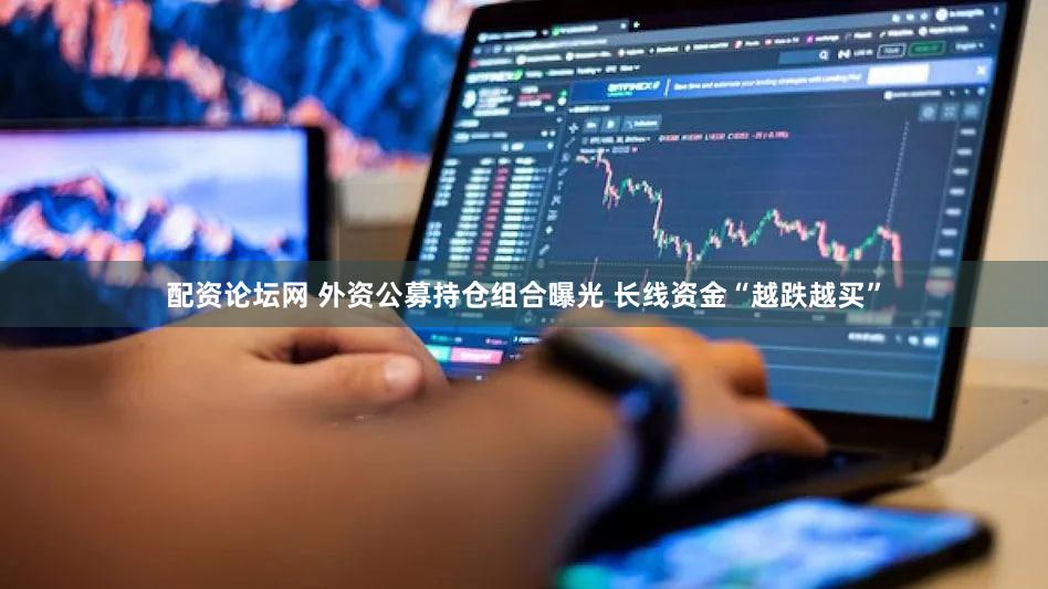 配资论坛网 外资公募持仓组合曝光 长线资金“越跌越买”