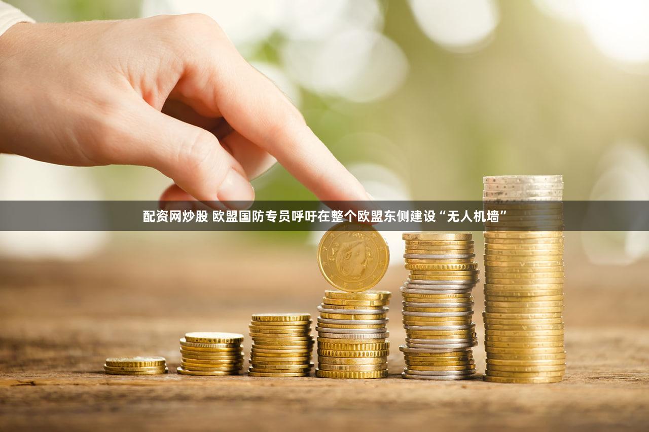 配资网炒股 欧盟国防专员呼吁在整个欧盟东侧建设“无人机墙”