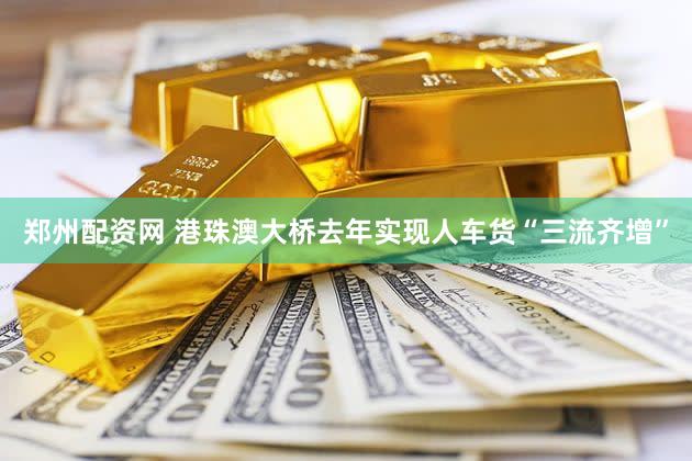 郑州配资网 港珠澳大桥去年实现人车货“三流齐增”