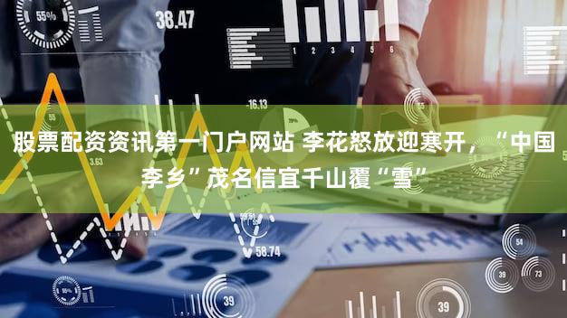 股票配资资讯第一门户网站 李花怒放迎寒开,“中国李乡”茂名信宜千山覆“雪”