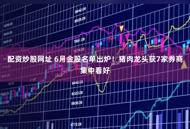 配资炒股网址 6月金股名单出炉！猪肉龙头获7家券商集中看好