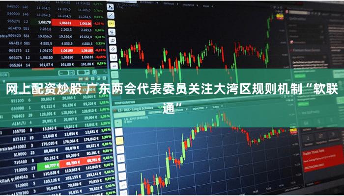 网上配资炒股 广东两会代表委员关注大湾区规则机制“软联通”