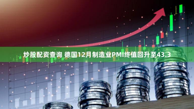 炒股配资查询 德国12月制造业PMI终值回升至43.3