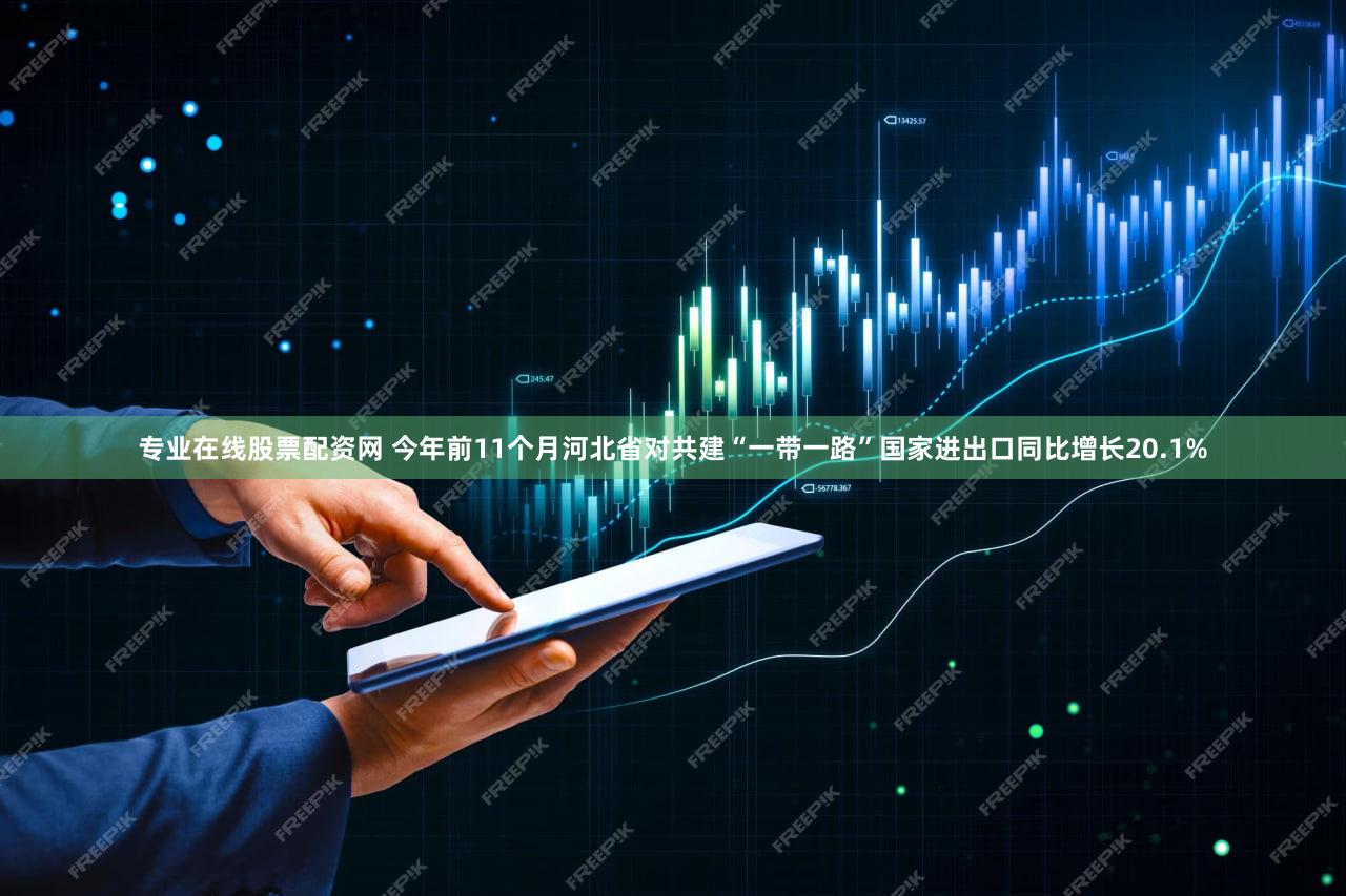 专业在线股票配资网 今年前11个月河北省对共建“一带一路”国家进出口同比增长20.1%