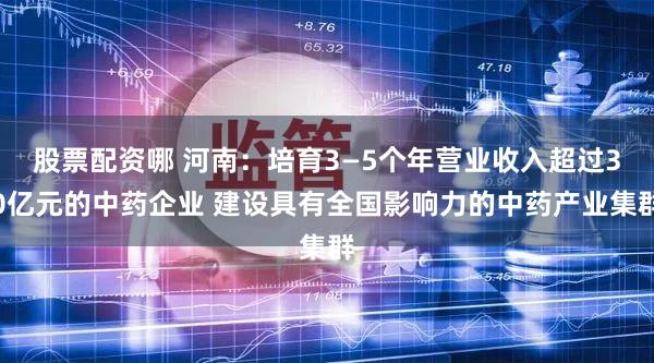 股票配资哪 河南：培育3—5个年营业收入超过30亿元的中药企业 建设具有全国影响力的中药产业集群