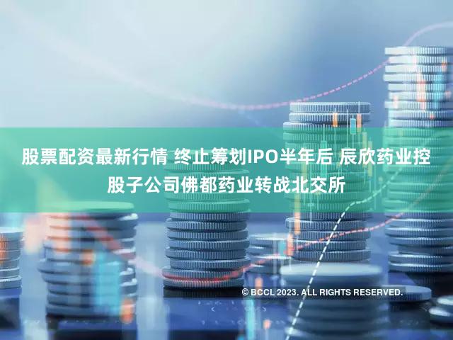 股票配资最新行情 终止筹划IPO半年后 辰欣药业控股子公司佛都药业转战北交所
