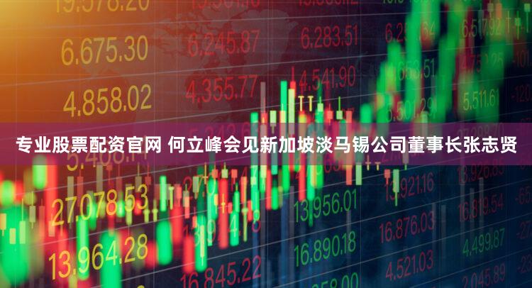专业股票配资官网 何立峰会见新加坡淡马锡公司董事长张志贤